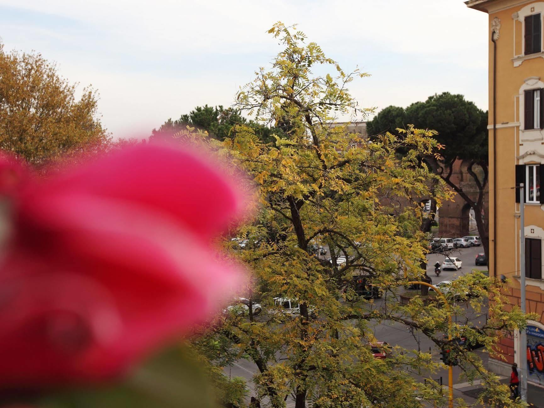 Maggiore Roma